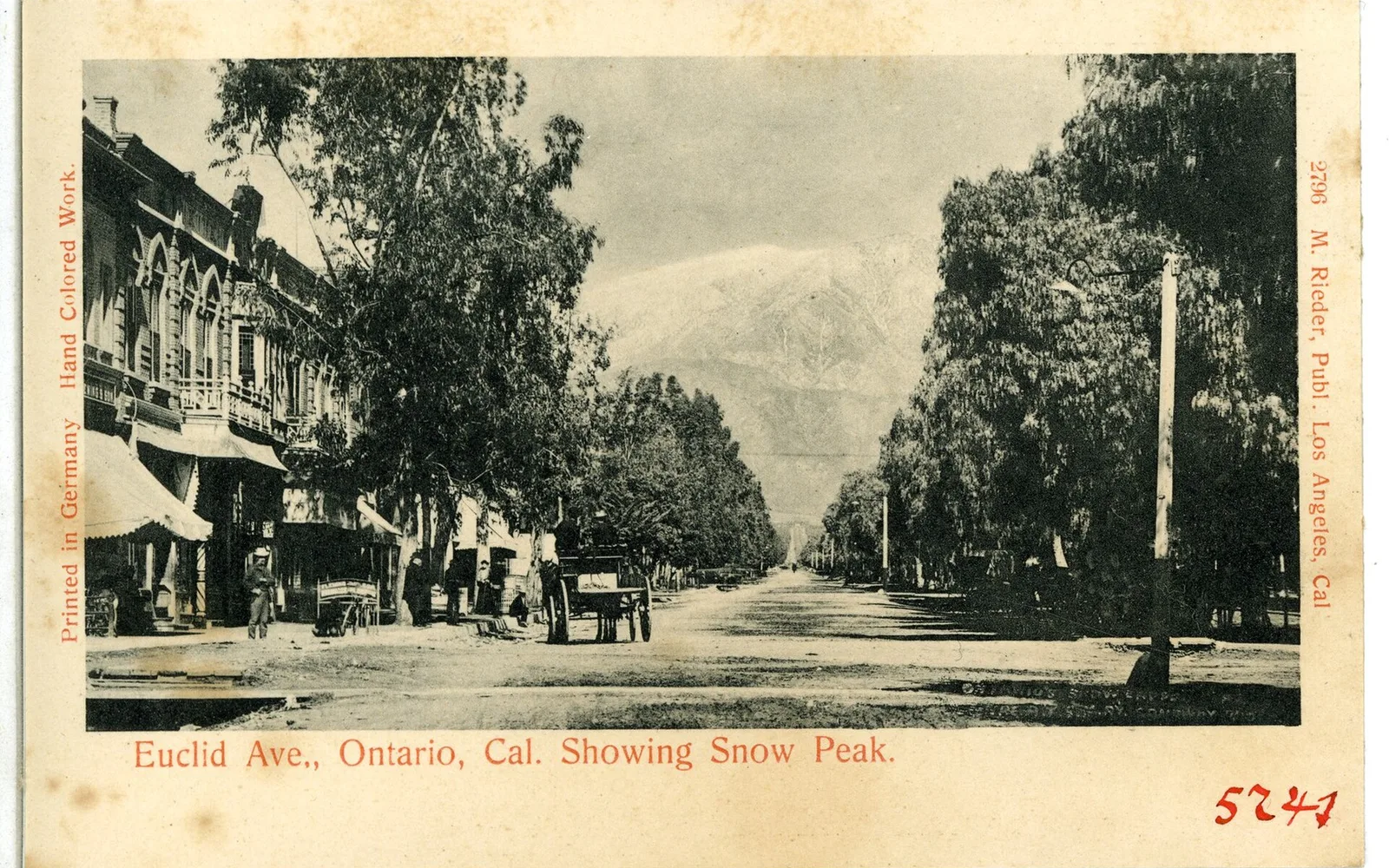 Historic photographic postcard of Euclid Avenue in Ontario, California,1905